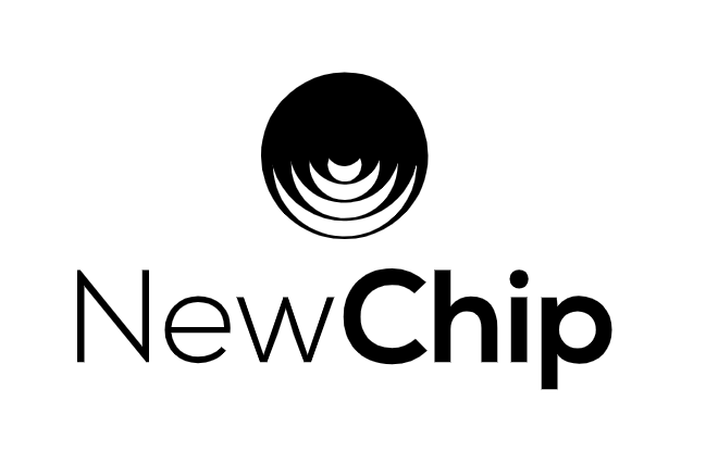 newchip.ru